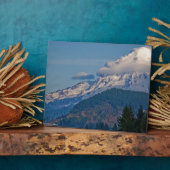 レイニアP5002 フォトプラーク (側面)