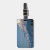 レイニアP5002 ラゲッジタグ (正面縦)