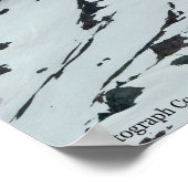 レイニアP7108 ポスター (角)