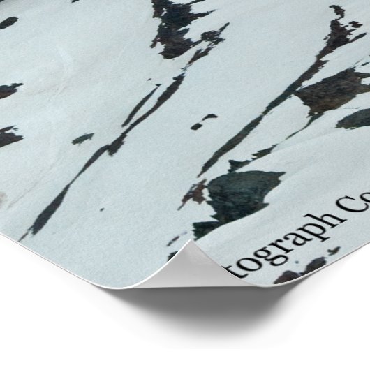 レイニアP7108 ポスター (角)