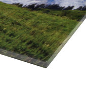 レイニアPDSC230 カッティングボード (角)