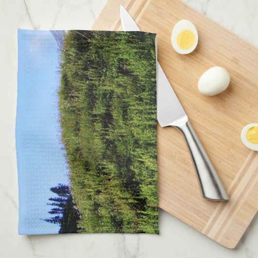 レイニアPDSC230 キッチンタオル (四つ折り)