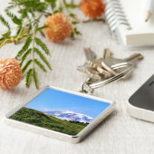 レイニアPDSC230 キーホルダー (側面)