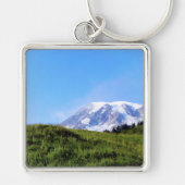 レイニアPDSC230 キーホルダー (正面)