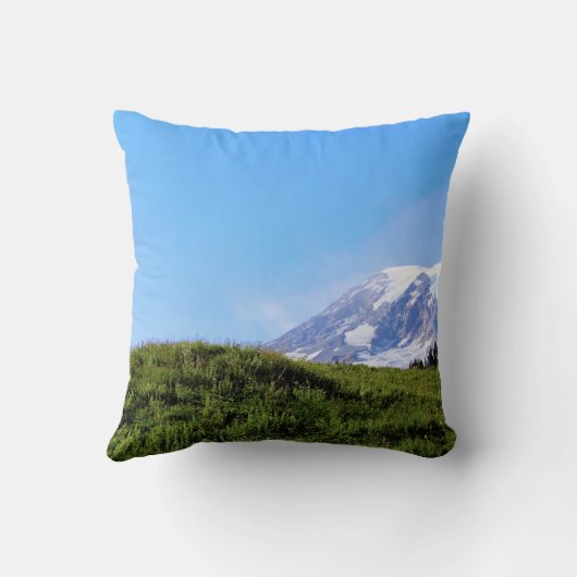 レイニアPDSC230 クッション (裏面)