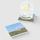 レイニアPDSC230 ストーンコースター (横)