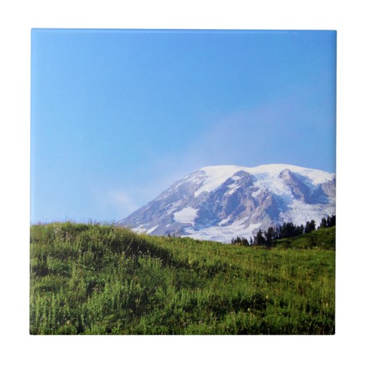 レイニアPDSC230 タイル (正面)