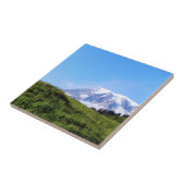 レイニアPDSC230 タイル (側面)