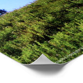 レイニアPDSC230 ポスター (角)