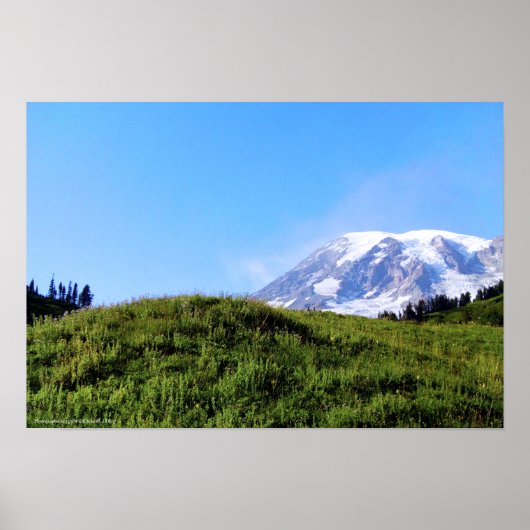 レイニアPDSC230 ポスター (正面)