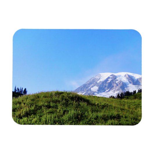 レイニアPDSC230 マグネット (横)