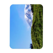 レイニアPDSC230 マグネット (縦)