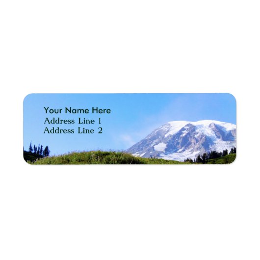 レイニアPDSC230 ラベル (正面)