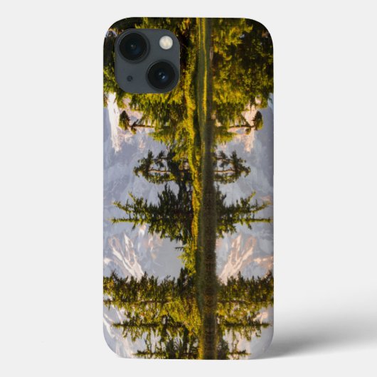 レイニエ山はプラマー山の近くの渓谷に映った Case-Mate iPhoneケース (裏面)