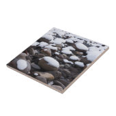 レイニエ山国立公園 タイル (側面)