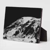 レイニエ溶解 フォトプラーク (側面)