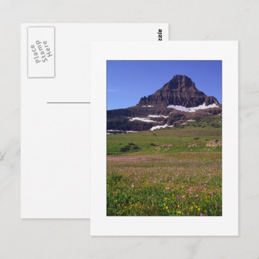 『レイノルズ山』 ポストカード (正面/裏面)