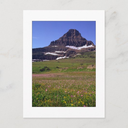 『レイノルズ山』 ポストカード (正面)