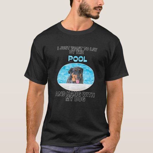 レイバイプール&Wボーつるセロン Tシャツ (正面)