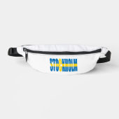 レイフカンビジ ファニーパック (正面)