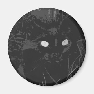 レイブ マグネット