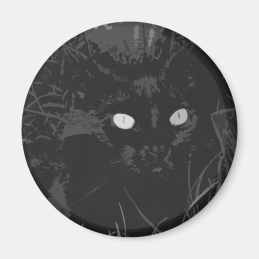 レイブ マグネット (正面)