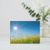 レイプ場 ポストカード (スタンド正面)