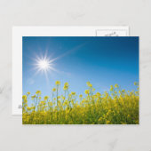 レイプ場 ポストカード (正面/裏面)