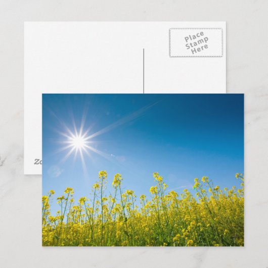 レイプ場 ポストカード (正面/裏面)