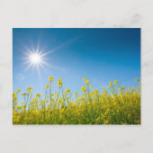 レイプ場 ポストカード (正面)