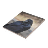 レイベンイエローストーン国立公園 タイル (側面)