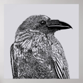 レイベンイラストレーション ポスター