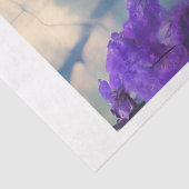 レイベンティッシュペーパー 薄葉紙 (詳細)