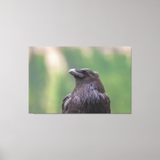 レイベン キャンバスプリント (正面)