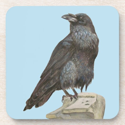 レイベン コースター (正面)