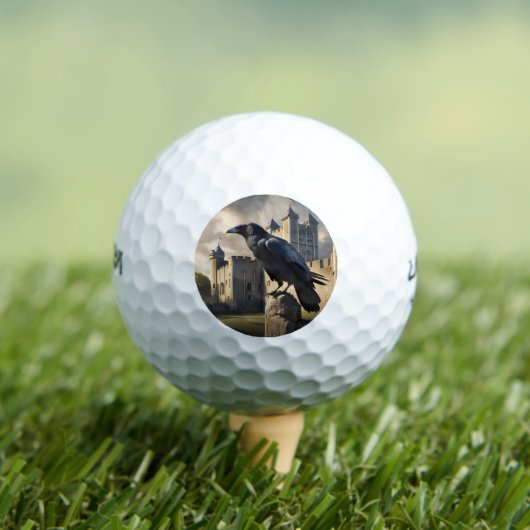 レイベン ゴルフボール (インサイチュ 木)