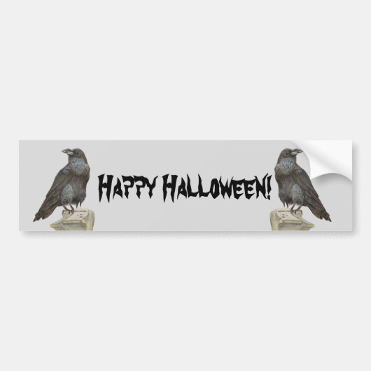 レイベン バンパーステッカー (正面)