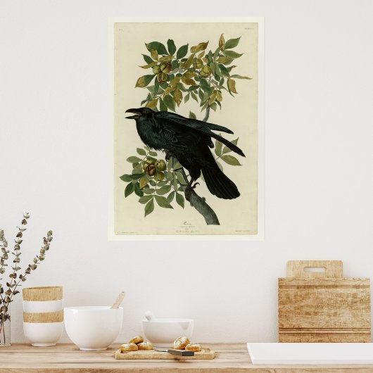 レイベン ポスター (キッチン)