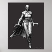 レイベン ポスター (正面)