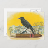 レイベン ポストカード (正面/裏面)