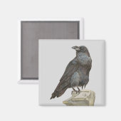 レイベン マグネット (正面/裏面)