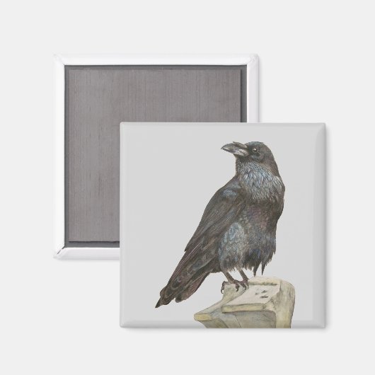 レイベン マグネット (正面/裏面)