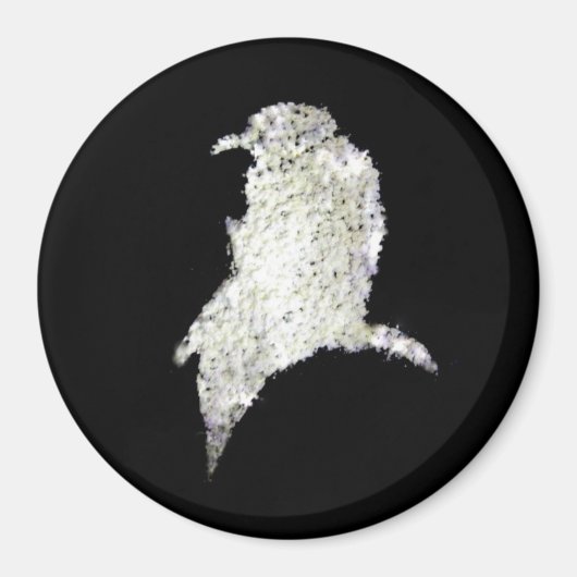 レイベン マグネット (正面)