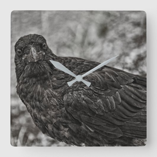 レイベンP9239 スクエア壁時計 (正面)