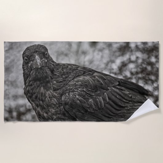 レイベンP9239 ビーチタオル (正面)