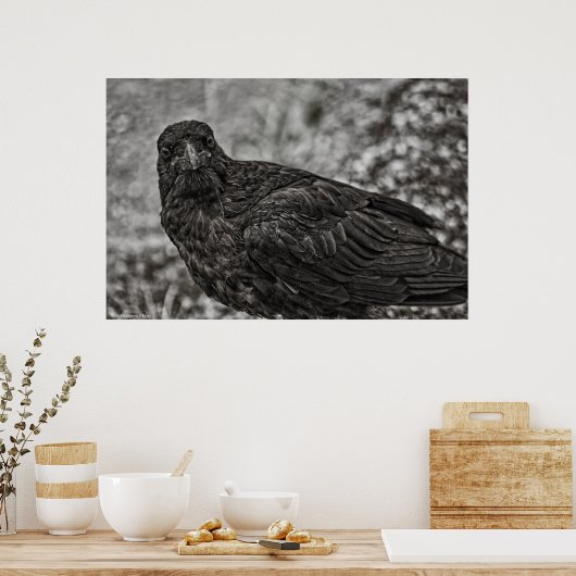 レイベンP9239 ポスター (キッチン)