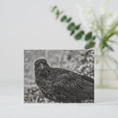 レイベンP9239 ポストカード (スタンド正面)