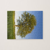 レイモンド·ファームの干し草畑に一本のカエデの木が ジグソーパズル (横)