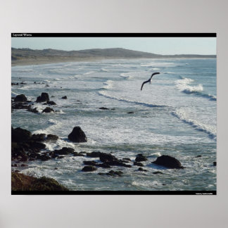 レイヤー波 ポスター