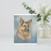 レイラ ポストカード (スタンド正面)